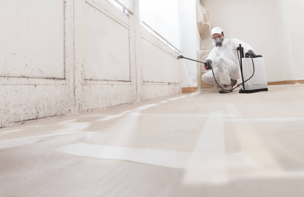 24/7 Emergency Mold Removal experts in Falls Church, VA