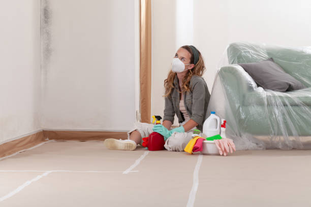 Reliable Mold Removal contractor in Falls Church, VA by WQB Mold Removal